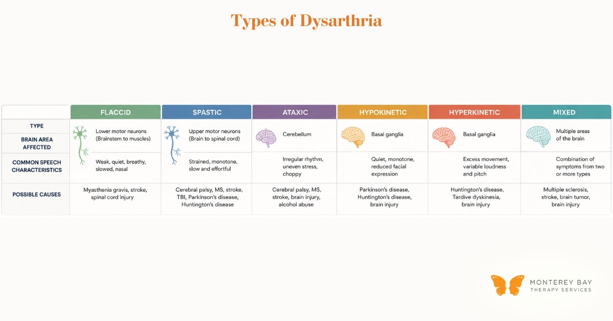 Diagram of 7 Types of Dysarthria | Monterey Bay Therapy Services | Speech & Occupational Therapy Across California